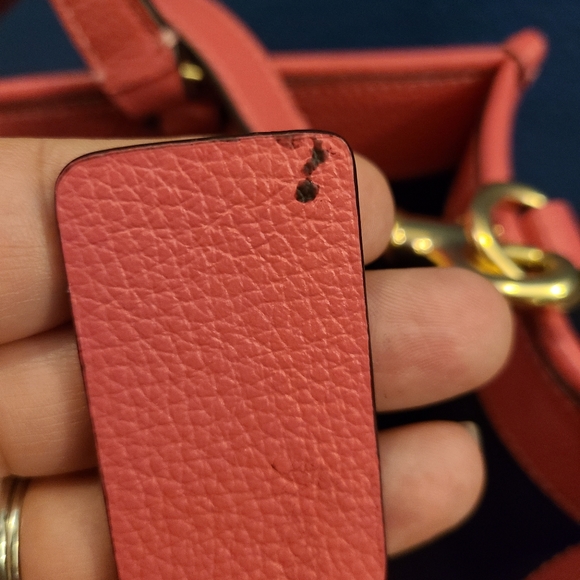 Coach Dempsey - Picture 10 of 15